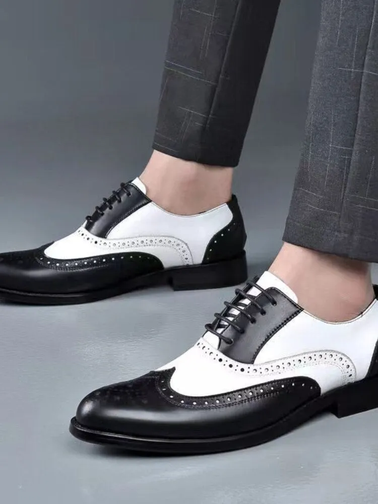 Lace Up Men Oxfords